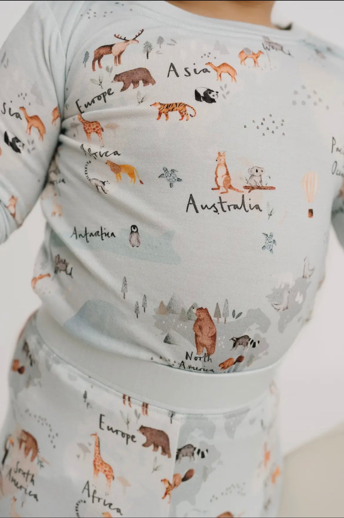 World Explorer Bamboo Set